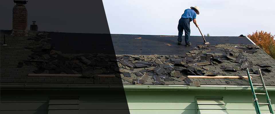 Hollandale Roofing Contractors